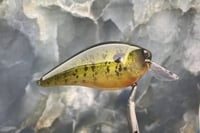 Image 4 of SPEEDBAITS Custom Airbrushed 2.5 Squarebill Crankbait 6839