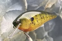 Image 5 of SPEEDBAITS Custom Airbrushed 2.5 Squarebill Crankbait 6839