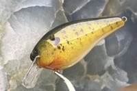 Image 6 of SPEEDBAITS Custom Airbrushed 2.5 Squarebill Crankbait 6839