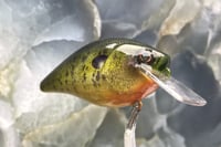 Image 7 of SPEEDBAITS Custom Airbrushed 2.5 Squarebill Crankbait 6839
