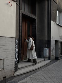 Image 2 of palm basket