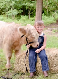 Image 17 of ✨Magic Minis: Unicorn/Mini Cow edition~ {August 2nd}✨