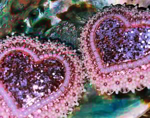 Image of April Showrz May Flowrs 