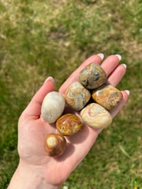 Image 1 of Crazy Lace Agate Large Tumblestones