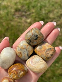 Image 2 of Crazy Lace Agate Large Tumblestones