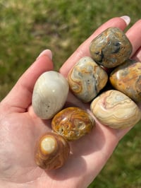 Image 3 of Crazy Lace Agate Large Tumblestones