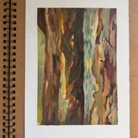 Image 1 of [Sketchbook] Woodland, Texture study. 