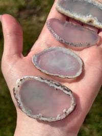 Image 4 of Agate Slices
