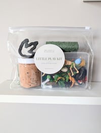 Dinosaur Adventure Little Play Kit