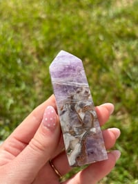 Image 14 of Amethyst x Agate Points