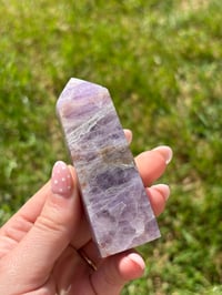 Image 16 of Amethyst x Agate Points
