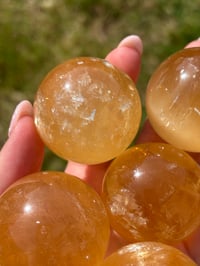 Image 3 of Honey Calcite Spheres