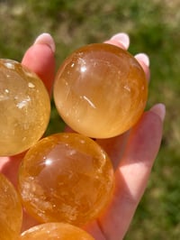 Image 5 of Honey Calcite Spheres