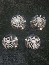 Image 4 of Preserved Web Guitar potentiometer knobs - Set B