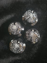 Image 1 of Preserved Web Guitar potentiometer knobs - Set B
