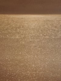 Image 4 of UMBER NIGHT