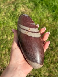 Image 8 of Shiva Lingham Large Egg