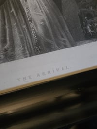 Image 3 of STATEMENT LARGE Antique Occult engraving collection with preserved web I