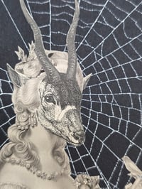 Image 4 of STATEMENT Antique Occult engraving collection with preserved web K