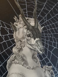 Image 8 of STATEMENT Antique Occult engraving collection with preserved web K