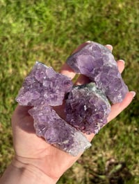 Image 1 of Amethyst Clusters