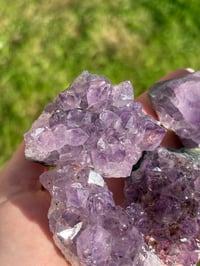 Image 2 of Amethyst Clusters