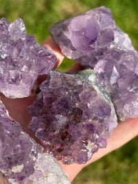 Image 3 of Amethyst Clusters