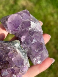 Image 4 of Amethyst Clusters