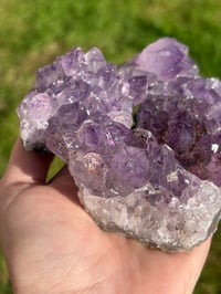 Image 5 of Amethyst Clusters