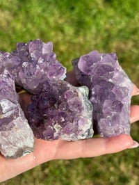 Image 6 of Amethyst Clusters