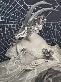 Image 2 of Antique Occult engraving collection with preserved web N