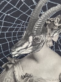 Image 3 of Antique Occult engraving collection with preserved web N