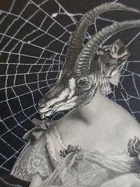 Image 5 of Antique Occult engraving collection with preserved web N