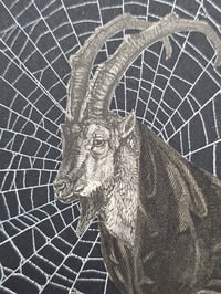 Image 2 of STATEMENT Antique Occult engraving collection with preserved web O