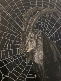 Image 7 of STATEMENT Antique Occult engraving collection with preserved web O