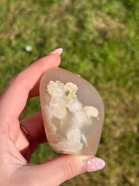 Image 2 of Flower Agate Freeform