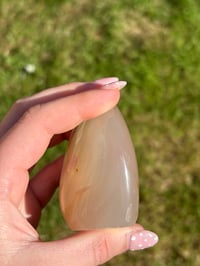 Image 5 of Flower Agate Freeform