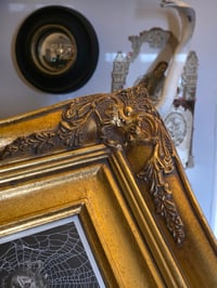 Image 7 of STATEMENT LARGE Ornate Antique Occult engraving collection with preserved web R