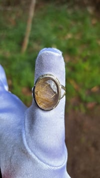 Image 1 of Rays of the Sun