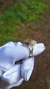 Image 2 of Rays of the Sun