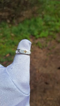 Image 2 of Citrine North Star