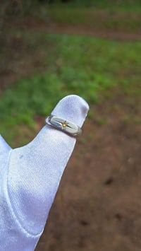 Image 3 of Citrine North Star