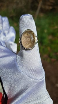 Image 4 of Rays of the Sun