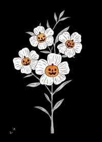 pumpkinflowers 5x7 print
