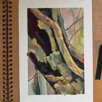 Image 1 of [Sketchbook] Tree Bark 02, Cadbury Hill