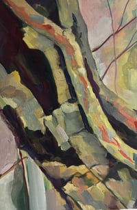 Image 2 of [Sketchbook] Tree Bark 02, Cadbury Hill