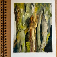 Image 1 of [Sketchbook] Tree Bark 03, Cadbury Hill 