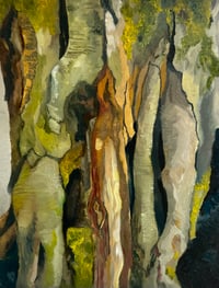 Image 2 of [Sketchbook] Tree Bark 03, Cadbury Hill 