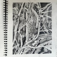 Image 2 of [sketchbook] Forest floor