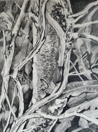 Image 1 of [sketchbook] Forest floor
